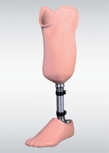 Proteza de gamba modulara